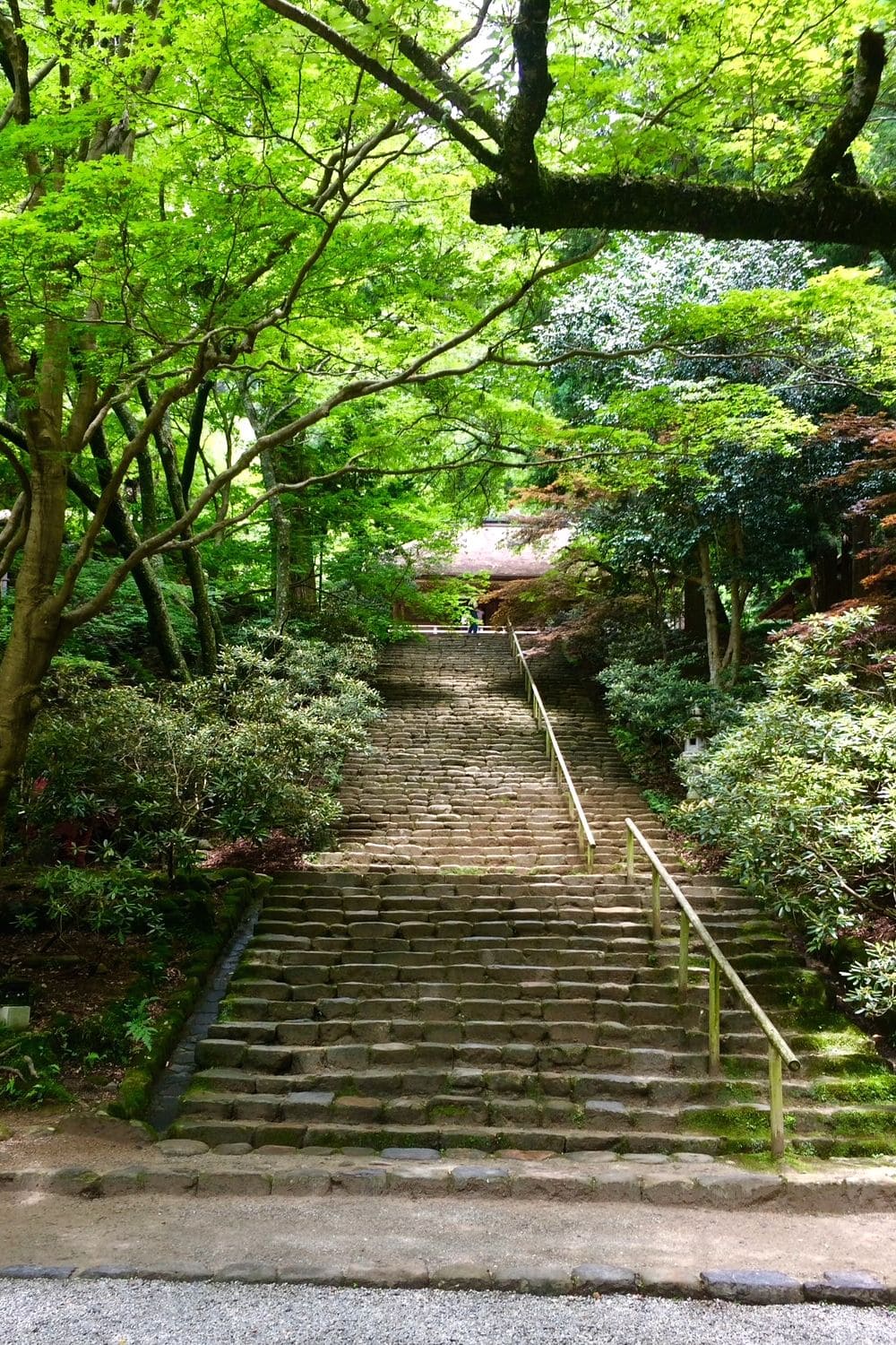 室生寺の画像